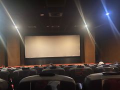 -CMC大光明影城(莲花店)