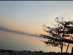 -深圳湾公园(南山区)