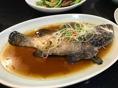 -盒马渔市餐厅