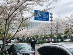 -永乐路-路侧停车场