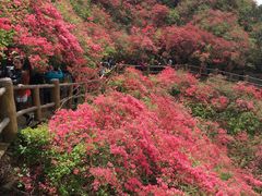 -木兰云雾山