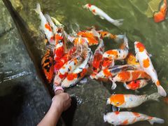 -海合安青岛极地海洋公园