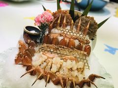 -宝燕壹号(徐汇店)