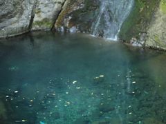 -宁波五龙潭景区