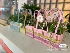 -COACH蔻驰(星光68广场店)