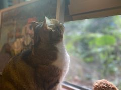 -咖法森林·咖啡  酒吧(天河店)