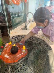 -新寰亚月子会所(金鸡湖凯宾店)