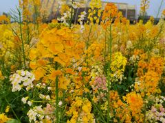 -中国天府农业博览园