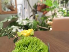 -一尺花园(安和花园店)