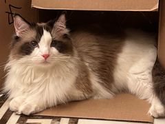 -佳雯宠物医院(四明中路分院)