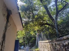 -大觉寺-停车场