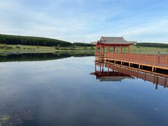 -塞罕坝国家级自然保护区