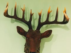 -南宫温泉水世界