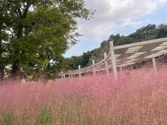 -牛岗山公园