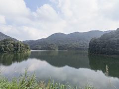 -广州市石门国家森林公园