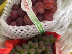 -马陆小张葡萄园农家乐