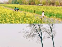 -汉长安城未央宫国家考古遗址公园