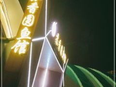 -丁老爷子苏香圆