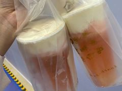 多肉粉桃-厝内小眷村(新北万达店)