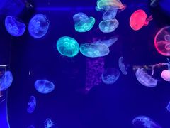 -台州海洋世界