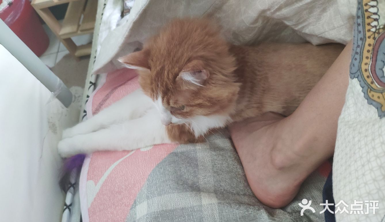 如果光已忘了要将前方照亮