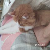 如果光已忘了要将前方照亮