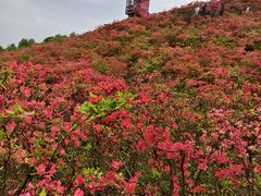 -瑞安圣井山景区