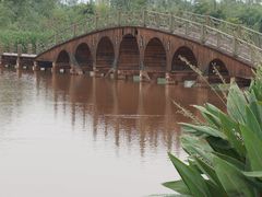 景点-西昌邛海湿地