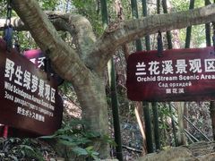 -呀诺达热带雨林