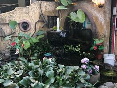 -园林美食城·本土农家菜(杨和镇店)