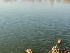 -野鸭湖国家湿地公园