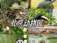 -北京动物园