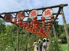 -常德桃花源景区
