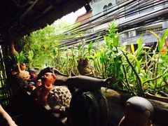 -自然餐厅(Phuket)