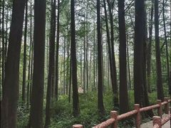 -嵖岈山风景区