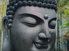 -杭州植物园