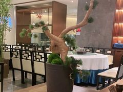 -松鹤楼·非遗·苏帮菜(融科店)
