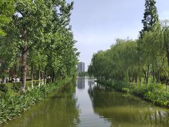 -洋湖国家湿地公园
