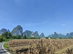-明仕田园