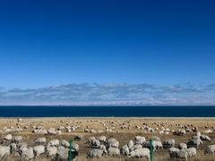 -青海湖国家重点风景名胜区