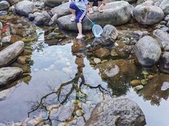-石台牯牛降景区