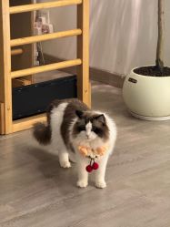 -闺蜜瑜伽·普拉提女性塑形馆