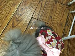 -志龙皇冠吃货椰子铺