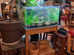 -懒鱼时光馆(沙坪坝店)