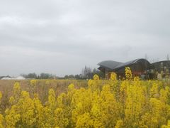 -中国天府农业博览园