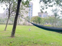-风云岭森林公园