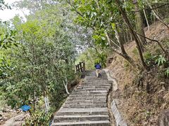 -广州白江湖森林公园