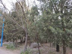 -森林公园(尖草坪区)