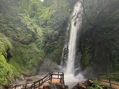 -莫里热带雨林景区
