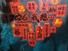 -苏州海洋馆
